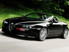 Alfa Romeo Spider, Pakiet, Novitec