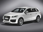 Audi Q7, Relingi, Dachowe