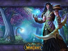World Of Warcraft, mężczyzna, elf, wojownik, fantasy