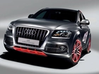 Audi Q5, Concept