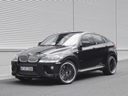 BMW, X6, Ac, Schnitzer