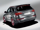 Audi Q5, Prototyp