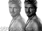 David Beckham, Z, Profilu