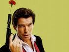 Pierce Brosnan, Róża, Broń