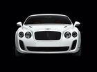 Bentley Continental, Maska