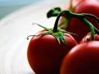 Pomidory, Talerz