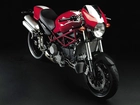 Ducati Monster 696, Rama, Nośna