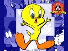 Looney Tunes, Kanarek, Tweety