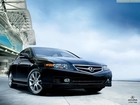 Acura TSX, Reklama, Katalog