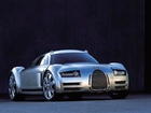 Audi Rosemeyer, Concept, Car