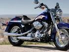 Harley Davidson Softail, Reflektor
