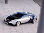 Bugatti Veyron, Linia, Nadwozia