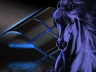 Koń, Logo, Windowsa