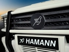 Logo, Hamann, Karbon