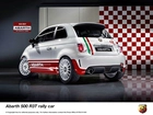 Abarth 500, Rally, Skorpion