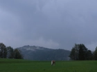 Łąka, Koń, Austria