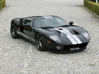 Ford GT, Wloty, Maska