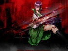 Highschool Of The Dead, Saeko