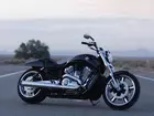 Harley Davidson V-Rod Muscle