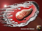 Logo, Drużyny, NHL, Detroit Red Wings