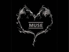 Muse