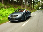 Bentley Continental GTC, Droga