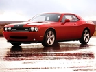 Dodge Challenger, Czarne, Pasy, Alufelgi