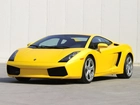 Żółte, Lamborghini Gallardo