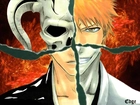 Hollow, Anime, Bleach