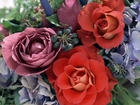 Fioletowe, Róże, Przybranie