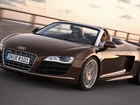 Audi R8 Spyder, Maska, Drzwi