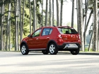 Bordowa, Dacia Sandero, Las