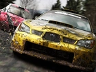 Screen, Colin McRae: DiRT 2