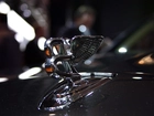 Emblemat, Bentley Mulsanne