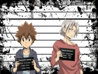 Katekyo Hitman Reborn, Tsunayoshi Sawada, Hayato Gokudera