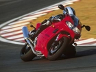 Triumph Daytona 955i, Tor, Kolano