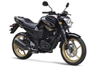 Yamaha FZ6 600, Fazer