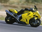 Triumph Daytona 955i