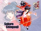 Sakura Wars, długie włosy, miecz