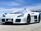 Gumpert Apollo, Super, Samochód