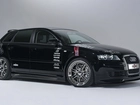 Audi A3, Tuning