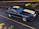 Ford Mustang Shelby, Namalowane, Pasy
