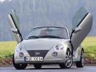 Daihatsu Copen, Drzwi, Lambo