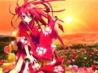 Shakugan No Shana, Kwiatki