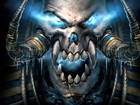 World Of Warcraft, Skull