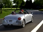 Daihatsu Copen, Roadster