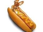 Dosłownie, Hot, Dog