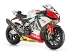 Aprilia RSV4 Alitalia, Dodatki, Karbonowe