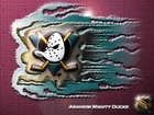 Logo, Drużyny, NHL, Anaheim Mighty Ducks