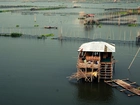 Laguna de Bay, Acrdona, Rizal, Filipiny